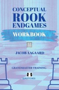 Conceptual Rook Endgames Workbook