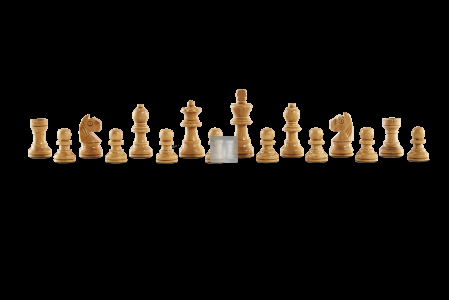 Set in legno magnetico ChessGenius Pro