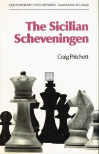 The sicilian Scheveningen - 2nd hand